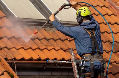 Démoussage et hydrofuge de toiture à Bidos